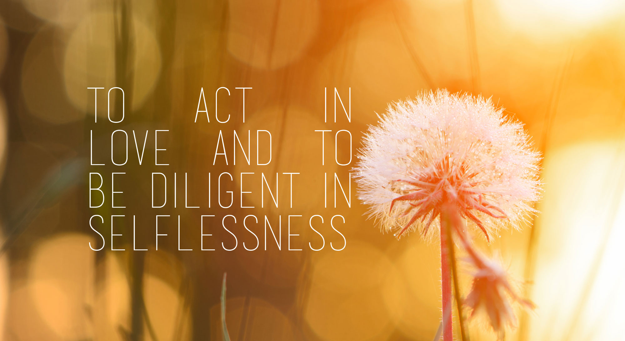 To act in love and to be diligent in selflessness