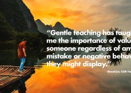 “Gentle teaching has taught