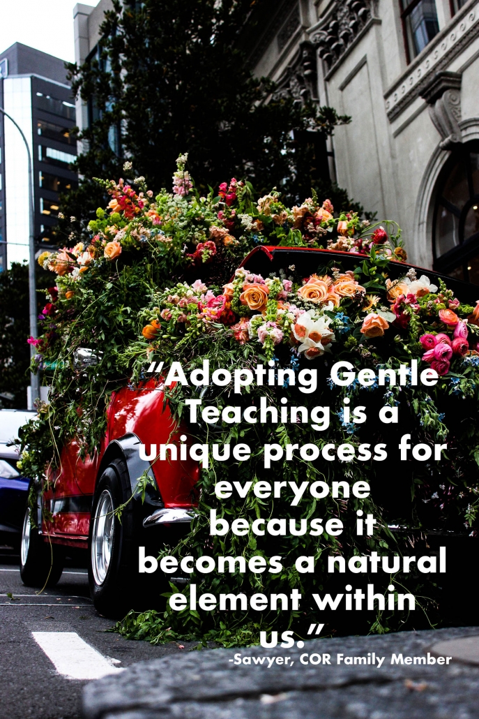adopting gentle teaching